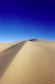 Dune1.jpg